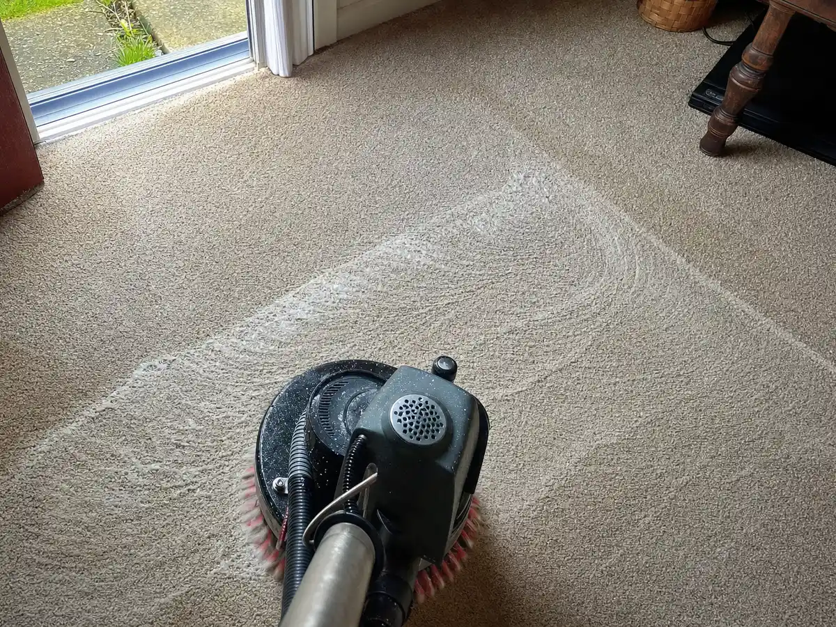 Dry Carpet Cleaning in Santa Monica, CA