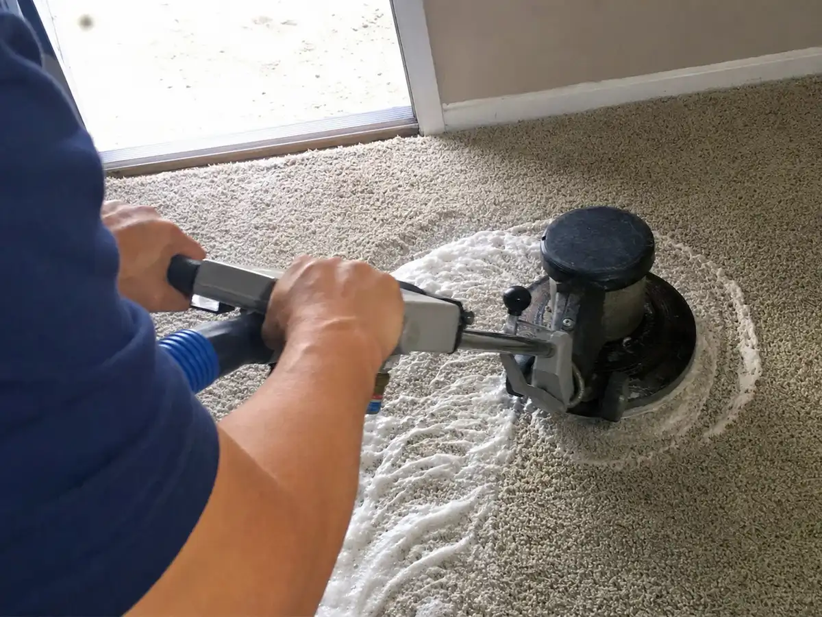 Carpet Shampooing in Santa Monica, CA